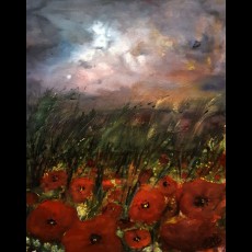 Corn poppies at night